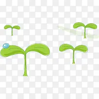 希望的小草-空若网 希望的小草-空若网