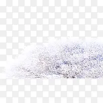 ����ѩ����-������