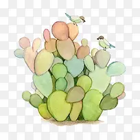 手绘仙人掌-空若网 手绘仙人掌-空若网