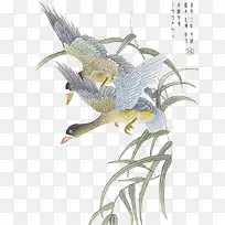 树枝-空若网 树枝-空若网