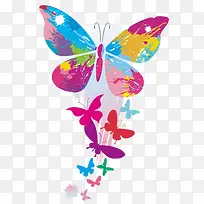 多彩简约蝴蝶-空若网 多彩简约蝴蝶-空若网