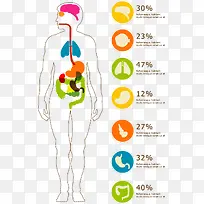 人体肠道指数PNG矢量元素-空若网 人体肠道指数PNG矢量元素-空若网