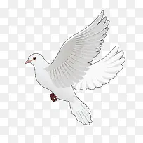 白色鸽子卡通造型-空若网 白色鸽子卡通造型-空若网