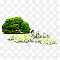 树-空若网 树-空若网