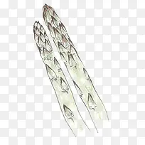 2颗芦笋-空若网 2颗芦笋-空若网