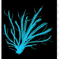 ��ɫ��������ɫ����-������