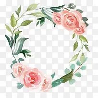 手绘植物-空若网 手绘植物-空若网