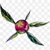 手绘插画-空若网 手绘插画-空若网