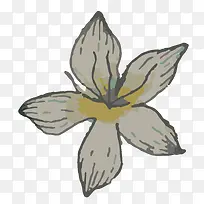 手绘植物-空若网 手绘植物-空若网