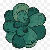 手绘植物-空若网 手绘植物-空若网