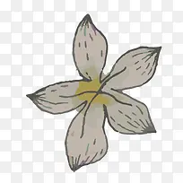 手绘植物-空若网 手绘植物-空若网