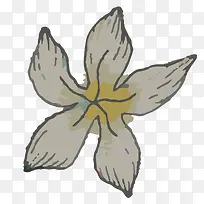 手绘植物-空若网 手绘植物-空若网