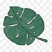 �ֻ�ֲ��-������