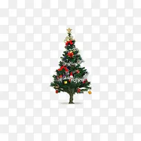 װ�ε�ʥ����-������