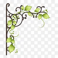 ��ɫ��������-������