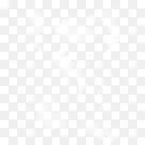 ��ɫ����-������