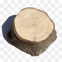 树桩树轮-空若网 树桩树轮-空若网