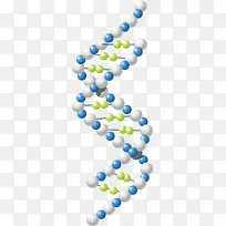 Ⱦɫ��pngʸ���ز�-������