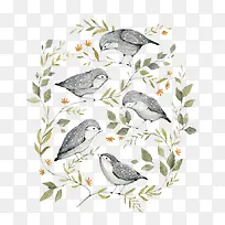 ��֦����-������