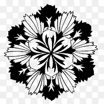 װ���Ի���-������