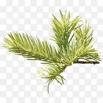 草-空若网 草-空若网