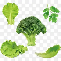 ������ɫ�߲˴�ȫ-������