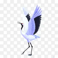 �ſ������ɺ�-������