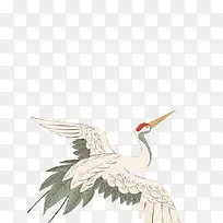 展翅的白色仙鹤-空若网 展翅的白色仙鹤-空若网
