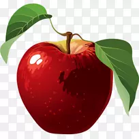 ƻ����������-������