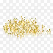 ��ɫС��-������