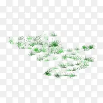 草-空若网 草-空若网