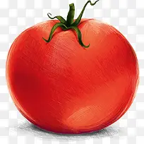 ʸ����ɫ������-������