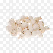 白色的一堆大蒜-空若网 白色的一堆大蒜-空若网