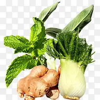 有机蔬菜配料-空若网 有机蔬菜配料-空若网