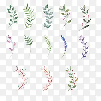 手绘叶子-空若网 手绘叶子-空若网