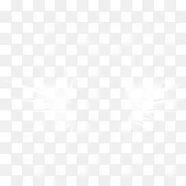 翅膀-空若网 翅膀-空若网