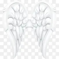 白色天使翅膀-空若网 白色天使翅膀-空若网