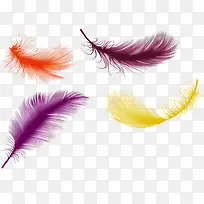 彩色的羽毛-空若网 彩色的羽毛-空若网