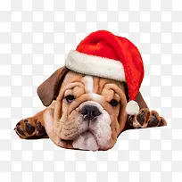 Ê¥µ®½ÚËØ²Ä-¿ÕÈôÍø Ê¥µ®½ÚËØ²Ä-¿ÕÈôÍø