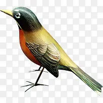 ��ɫľ��С���ز�-������