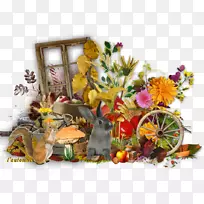 �＾��Ӱ����-����-������