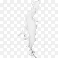 飞溅牛奶-空若网 飞溅牛奶-空若网