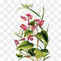 �ֻ������ʻ�ͼ-������