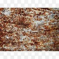 ��������屳��-������