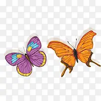 ��ͨ����-������