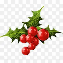 ��ɫʥ��ˮ��-������