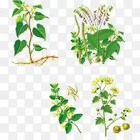 绿植边框-空若网 绿植边框-空若网