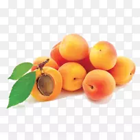 ���ӹ�����������ͼƬ-������