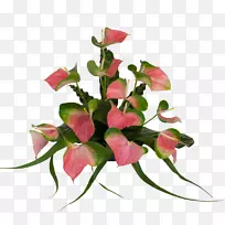 切花夏威夷花卉设计-空若网 切花夏威夷花卉设计-空若网