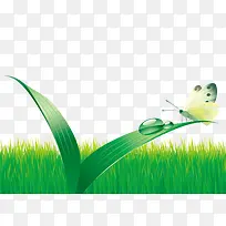 绿草自然生物手绘图-空若网 绿草自然生物手绘图-空若网